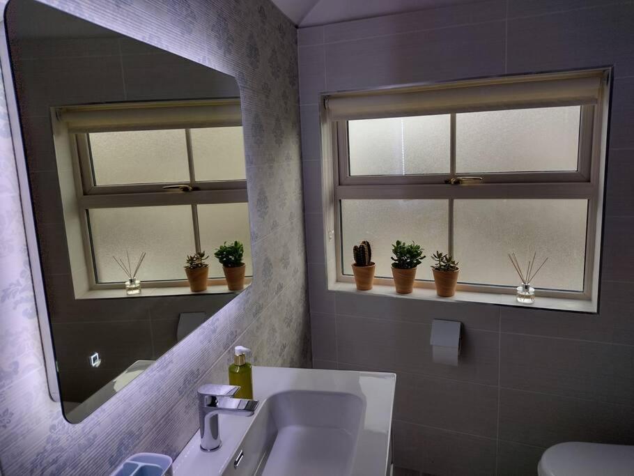 White Birds Townhouse In Sligo Town Center Apartment Ngoại thất bức ảnh